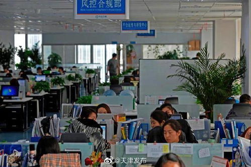 中企云鏈 以創新金融科技服務安心扎根，以信息技術咨詢服務舒心發展